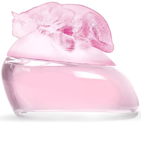 Delicious Cotton Candy Eau de Toilette EDT Spray for Women 3.4 oz / 100 ml New - Picture 1 of 2